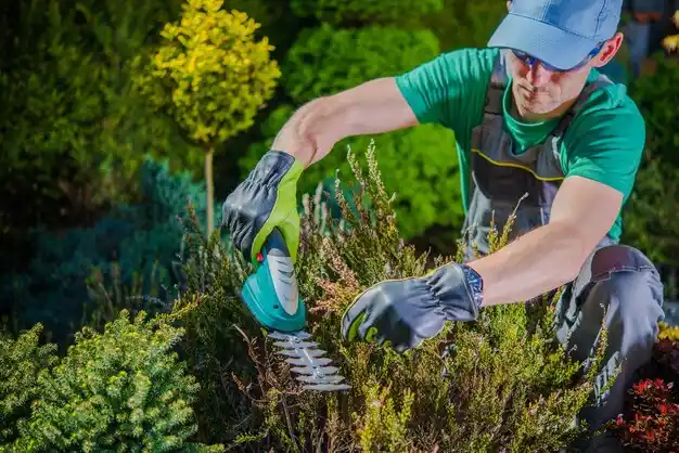 landscaping services Shadyside
